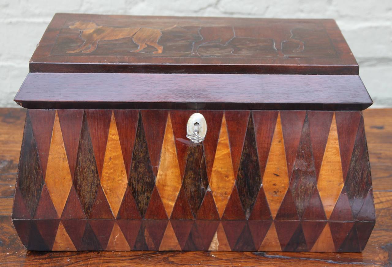19th century inlaid English tea caddy depicting a Harlequin design with a dog and pony inlaid on the top of the box. Original key for decoration only.