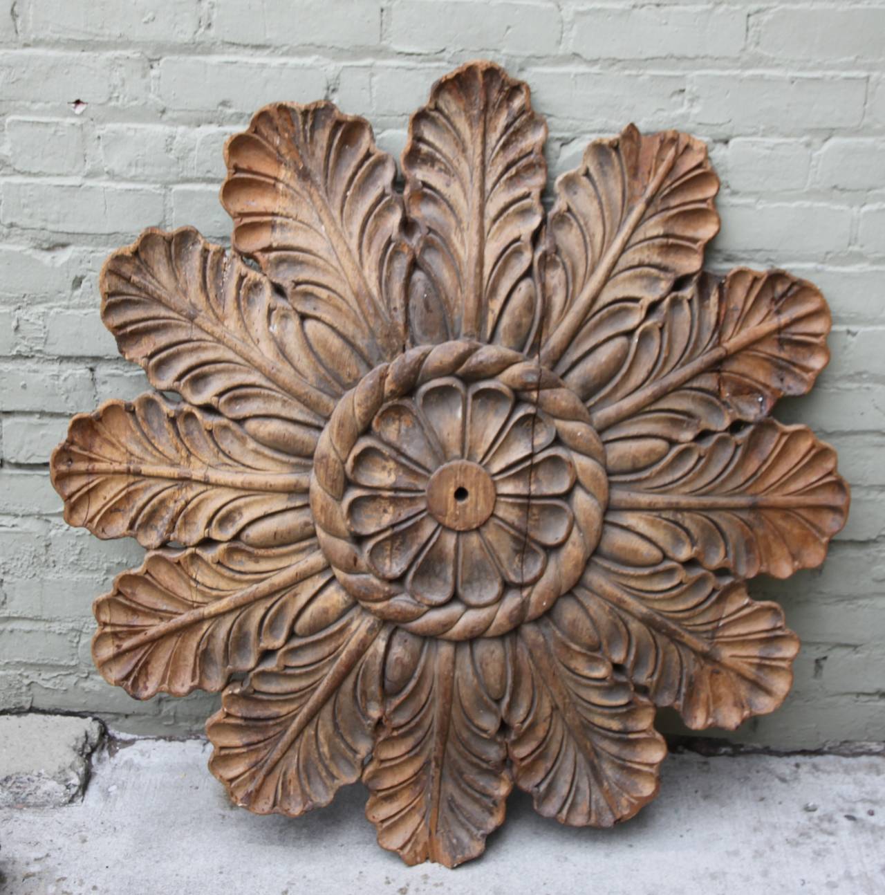 19th century Italian walnut architectural ceiling carving made from carved acanthus leaves.