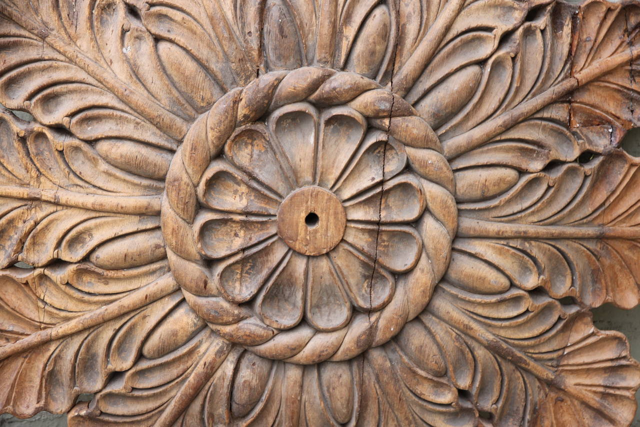 Italian 19th Century Architectural Ceiling Carving