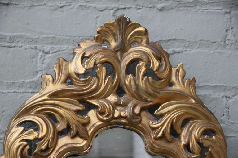 Baroque 19th Century Italian Gilt Wood Mirror