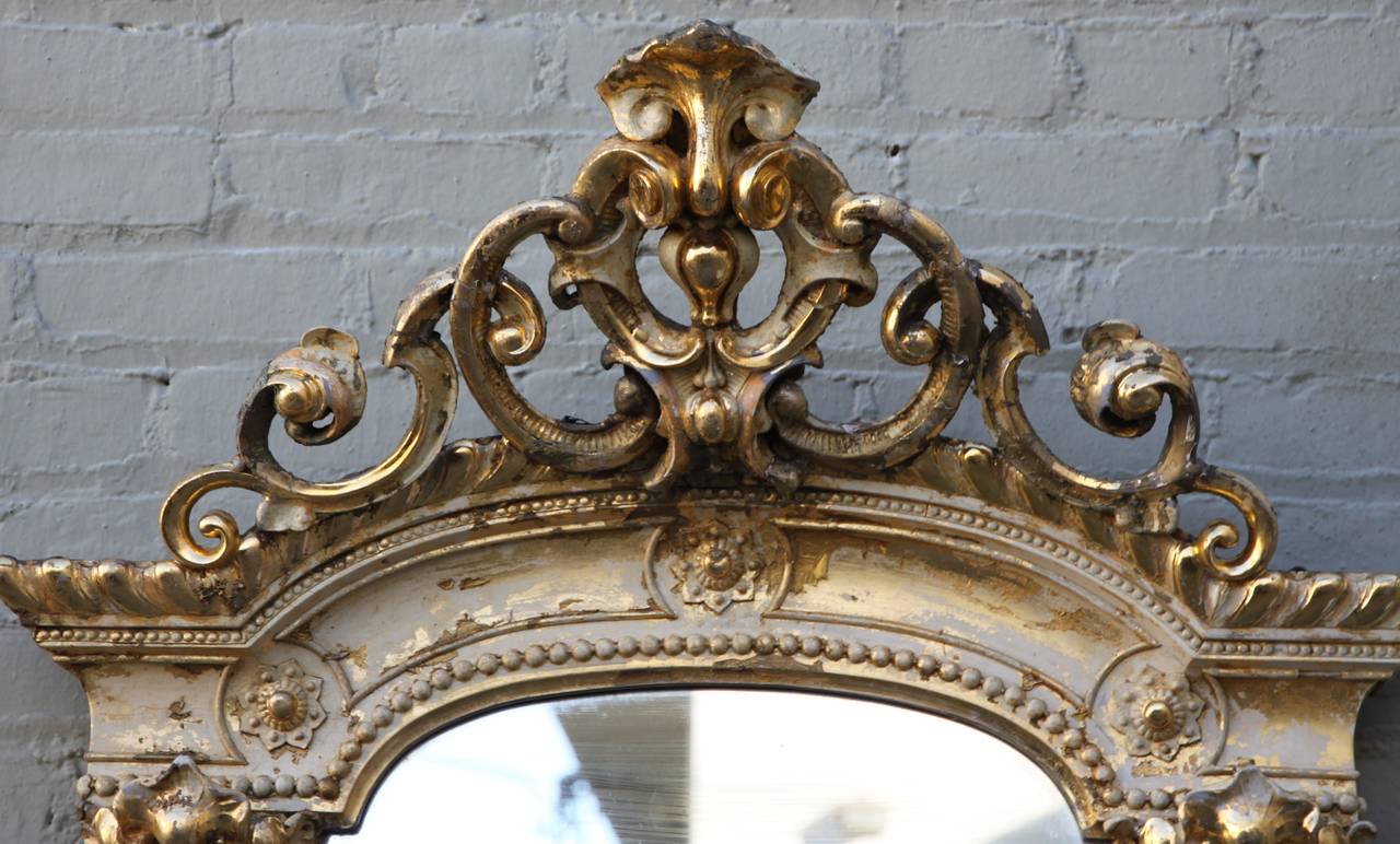 19th century Italian gilt wood carved mirror with swirling acanthus leaves throughout.  Mirror is just beginning to age.