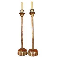 Pair of  Carved Gilt Wood Candlesticks C. 1900's