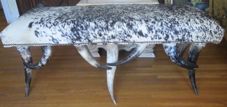 Bench made from black & white horns & upholstered in black & white cow hide with antique brass nailhead trim.