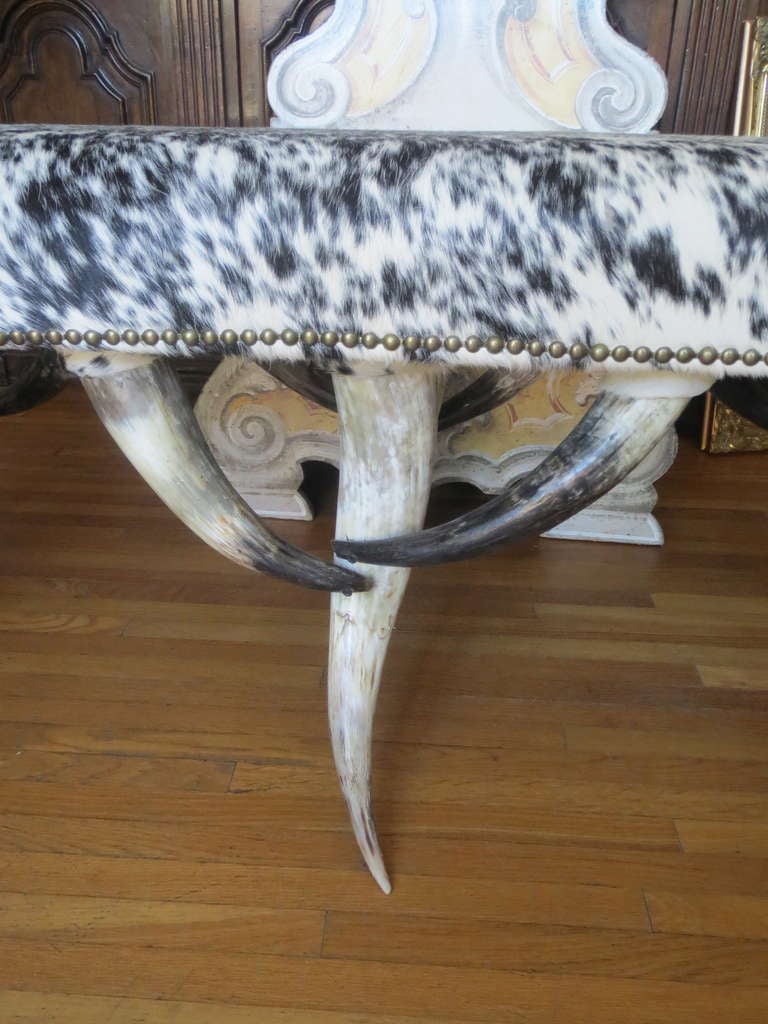 American Six Legged Horn Bench w/ Cowhide Upholstery