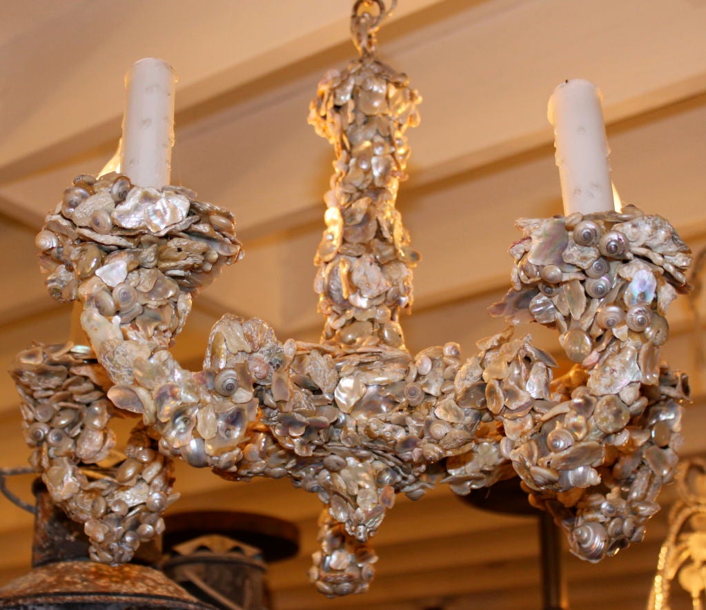 Petite (5) Lite Seashell Chandelier