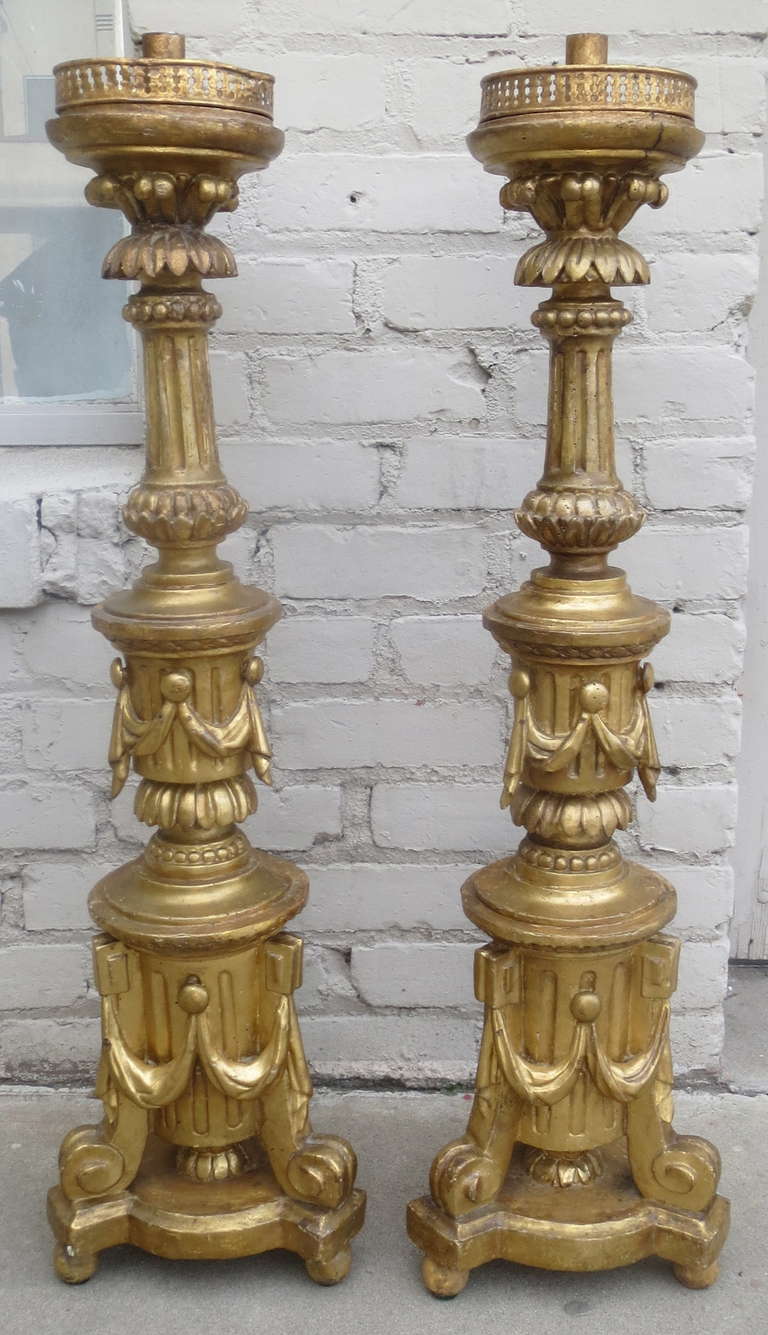 Pair of 19th C. Italian Giltwood Candlesticks
