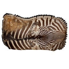 Unusual Zebra Pillow