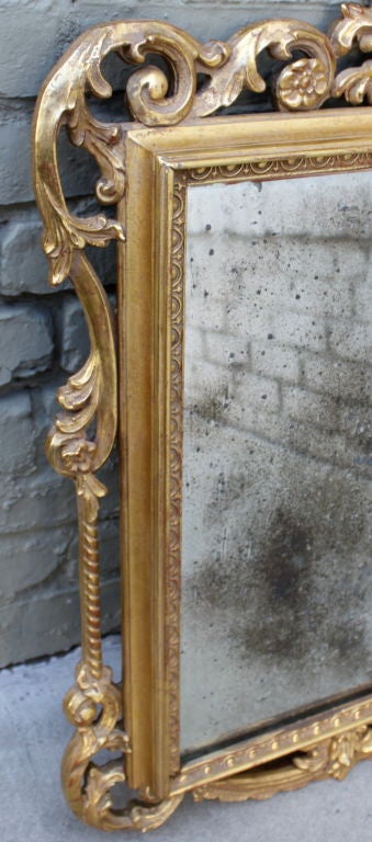 Carved gold gilt mirror with aged glass. Acanthus leaves, rosettes, egg & dart design throughout.