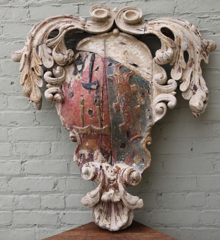 19th century carved wood painted Italian coat of arms with acanthus leaves and shell motif.