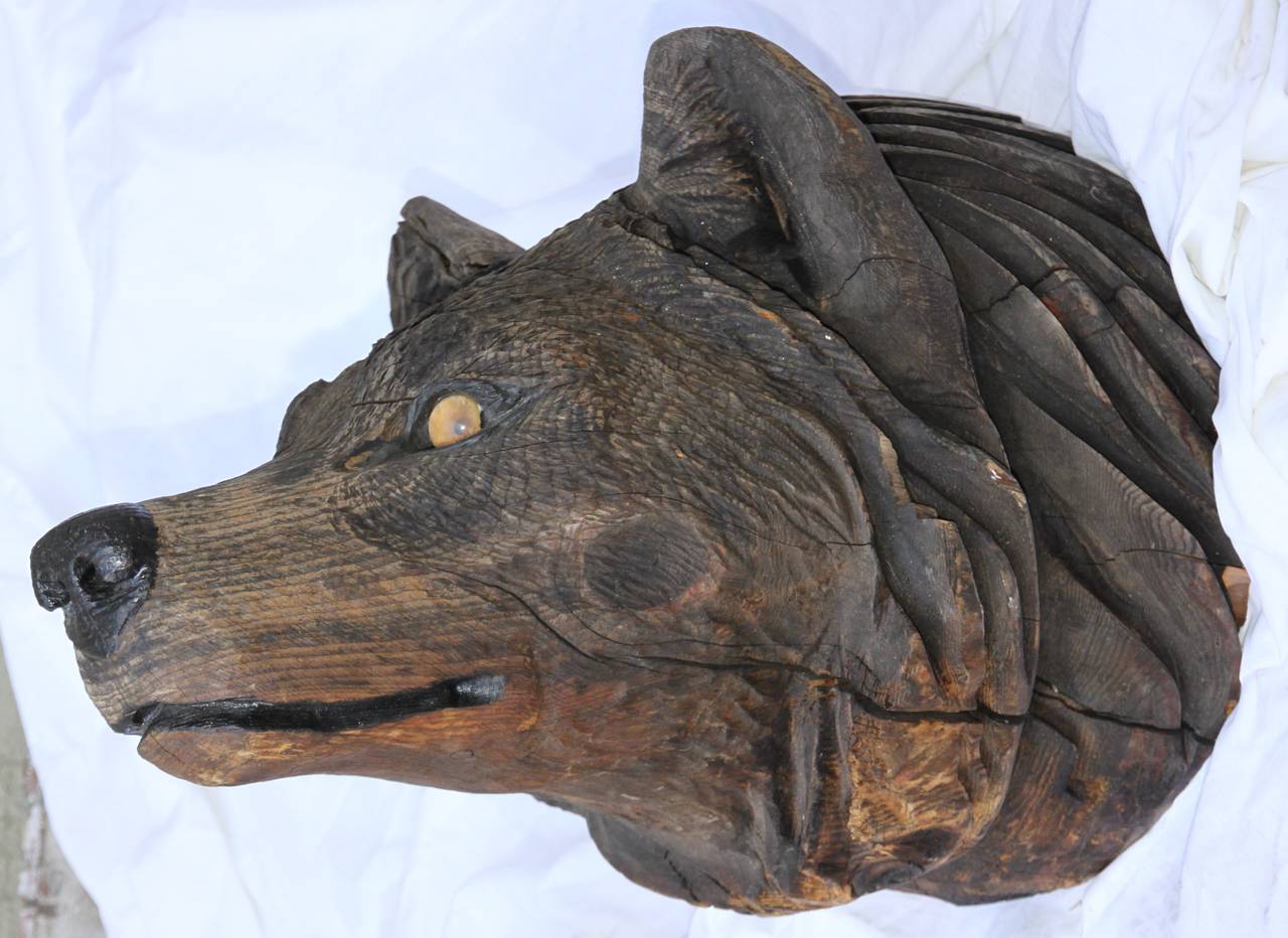 Rustic Carved Wood Wolf Head with Glass Eyes at 1stdibs
