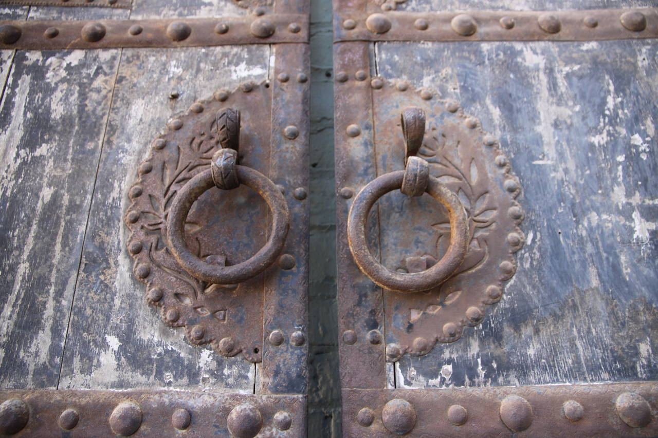 Other Pair of Asian Painted and Metal Doors