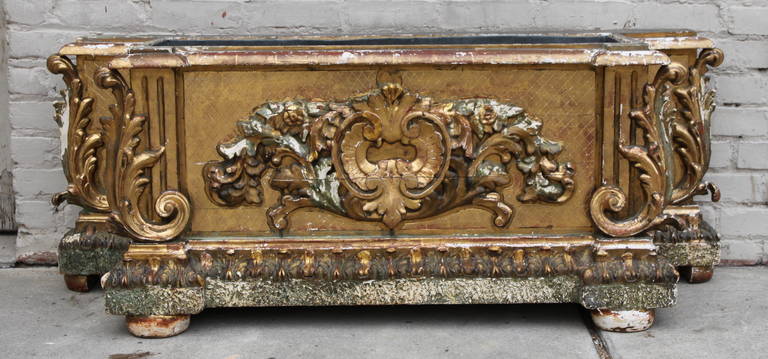 19th century Italian Baroque style giltwood planter with center cartouche flanked by acanthus leaves. Original metal liner.