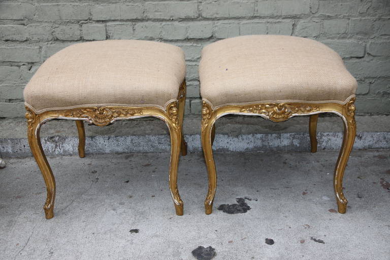 Pair of French Louis XV style gilt wood carved benches newly upholstered in burlap textile with self cording.