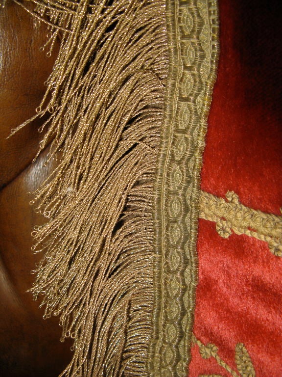 19th Century Embroidered Lion Velvet Pillow 1