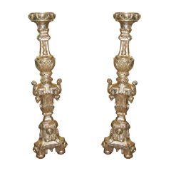 Pair of Carved White Gold Leaf Candlesticks C. 1900
s