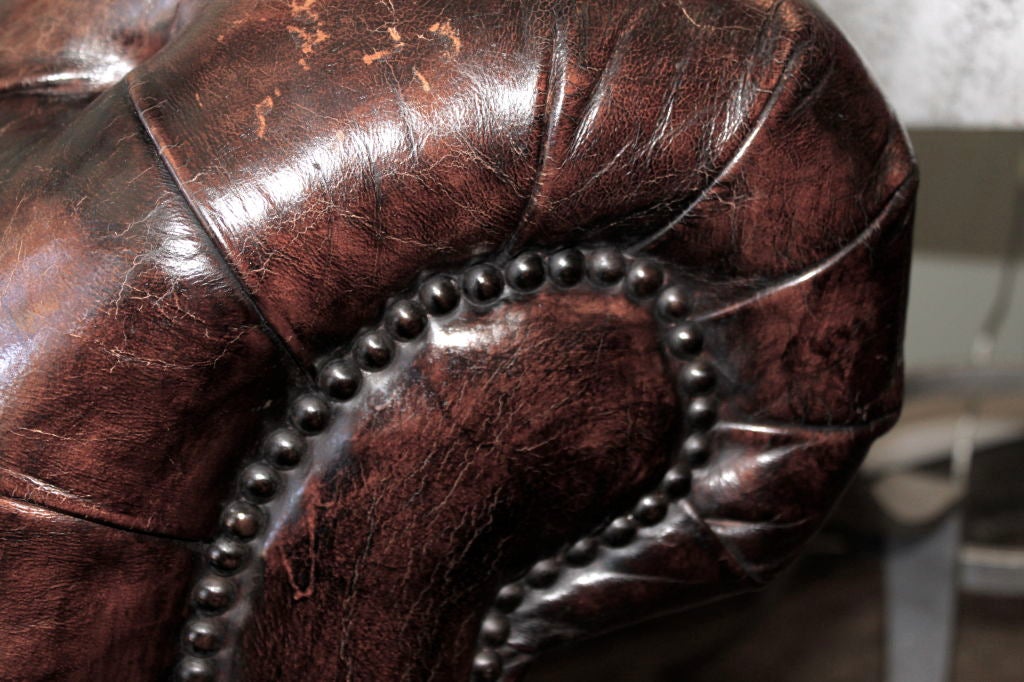Grand Scaled  Lion Paw Leather Tufted Sofa 3