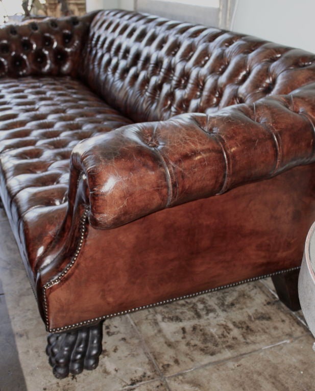 This massive leather tufted sofa needs an impressive room to accommodate it's size!  The leather is a tobacco coloration  with a rich antique patina.  The sofa stands on hand carved lion paws made from ebony wood. Nailhead trim can be seen along the