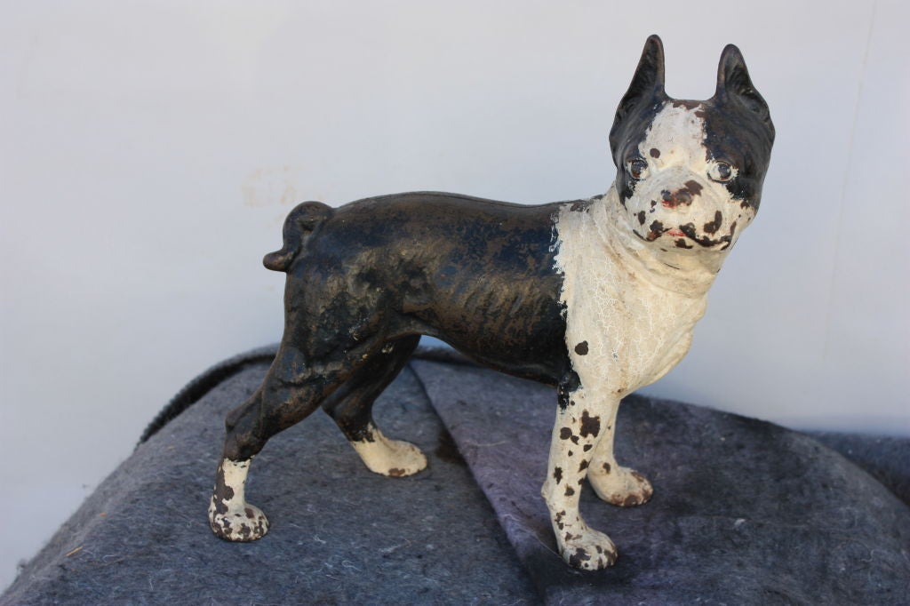 Charming cast iron Boston Terrier or Bulldog has original paint and great presence.  Could be used as a doorstop or just a fun figurine for the desk or by the fireplace.