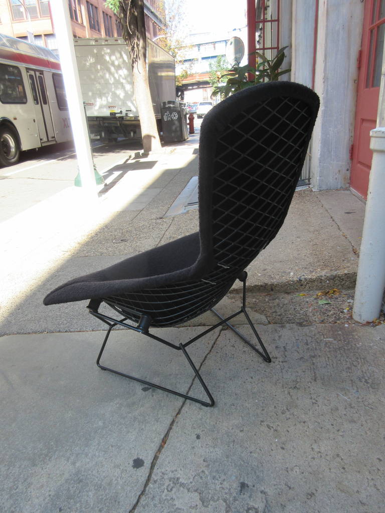 American Harry Bertoia for Knoll Bird Chair