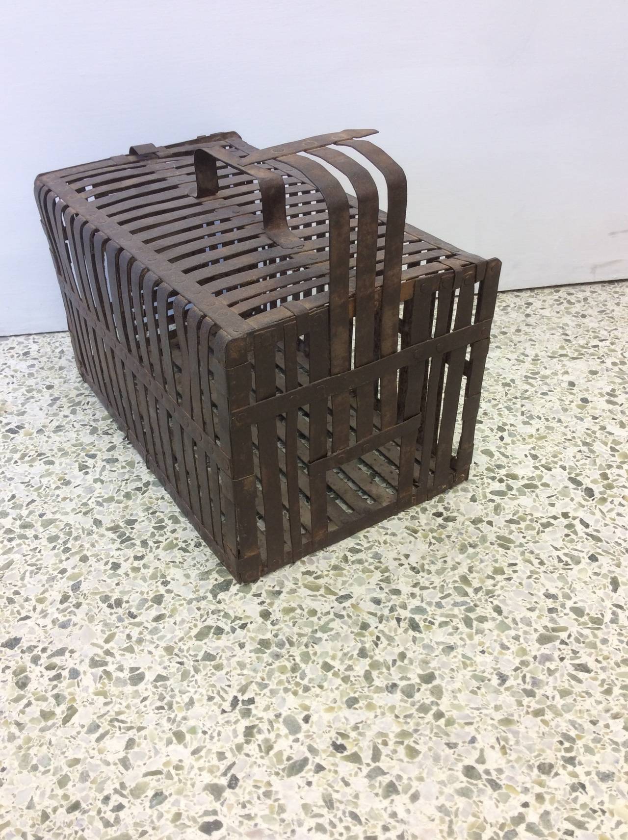 Unique metal mouse trap cage.
Door can be left open or closed.