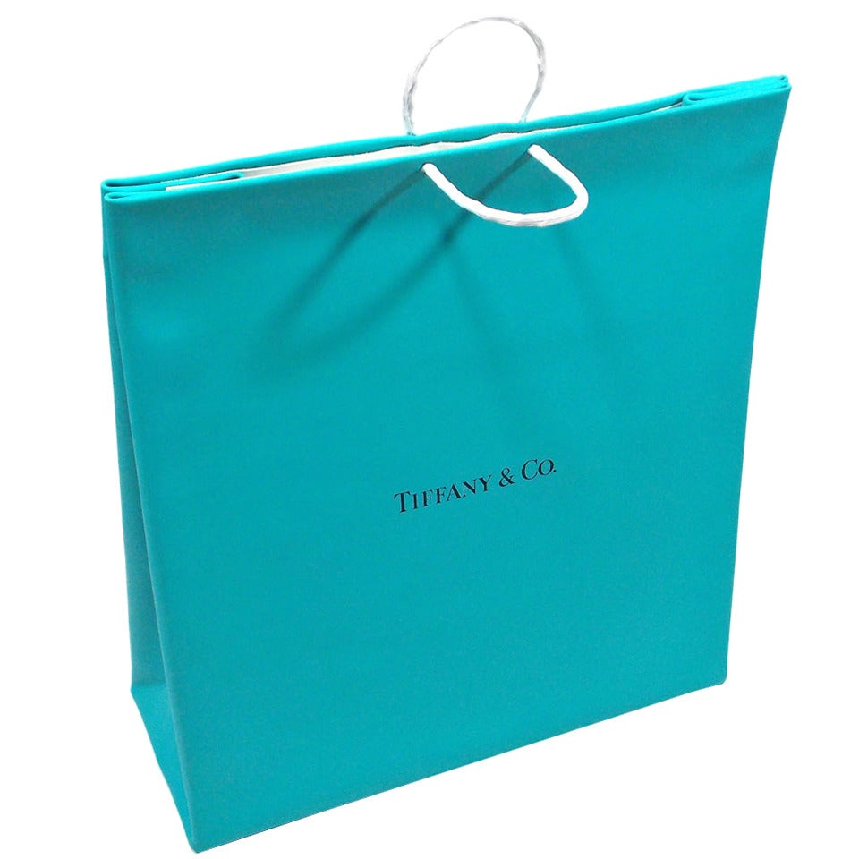 Jonathan Seliger Tiffany Bag For Sale
