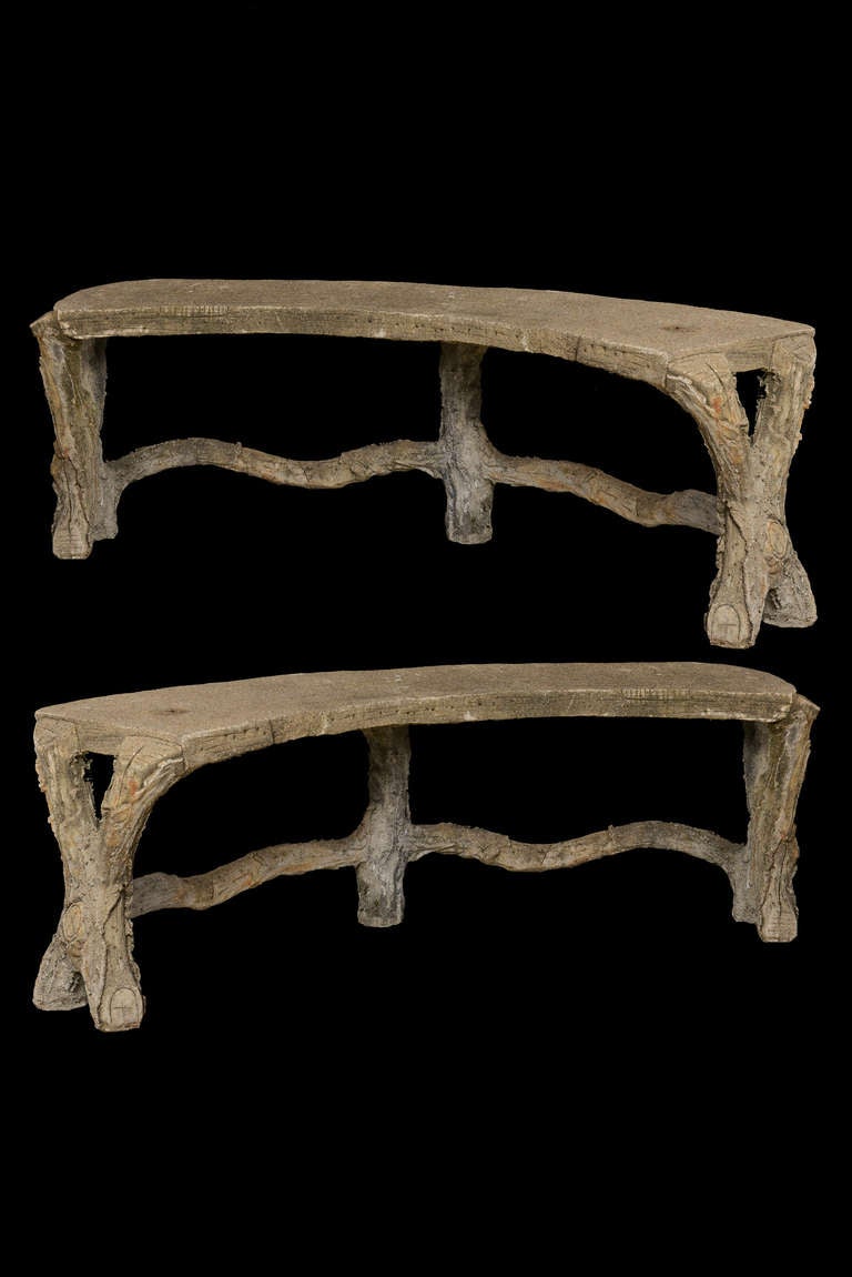 Pair of French Faux Bois Garden Benches 4