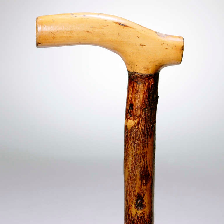 Carved wood cane with T-shaped handle. Large whittled alligator on body of walking stick pays homage to Jacksonville, Florida, where it was made.