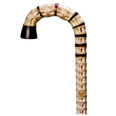 Shark Vertebrae Cane 10