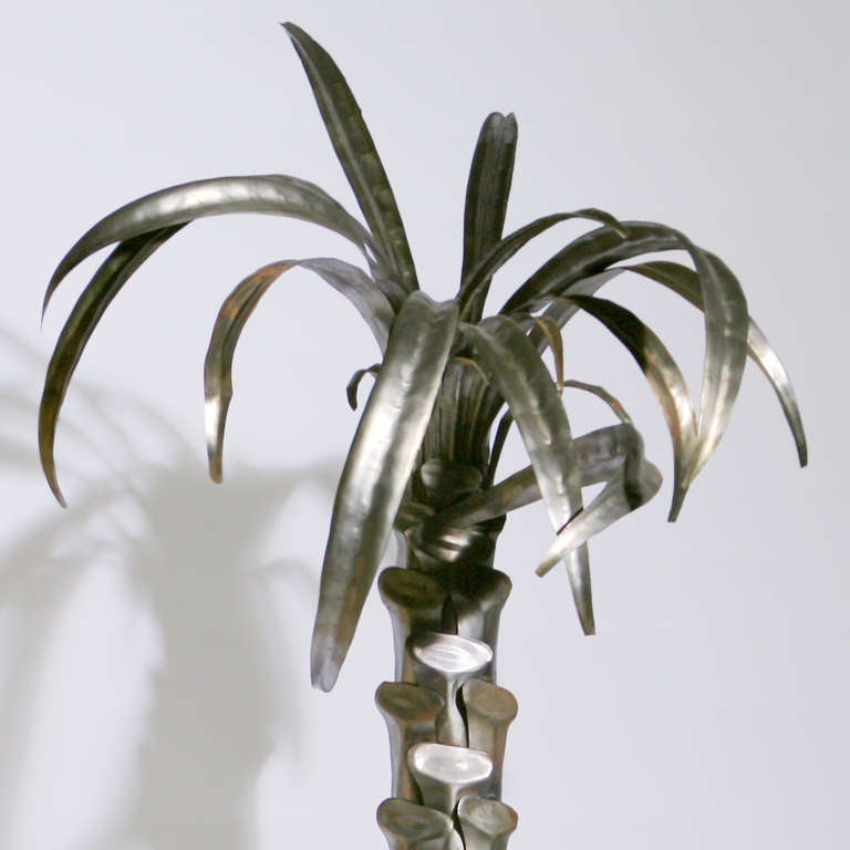 silver palm tree price