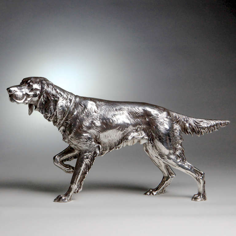 silver hunting dog