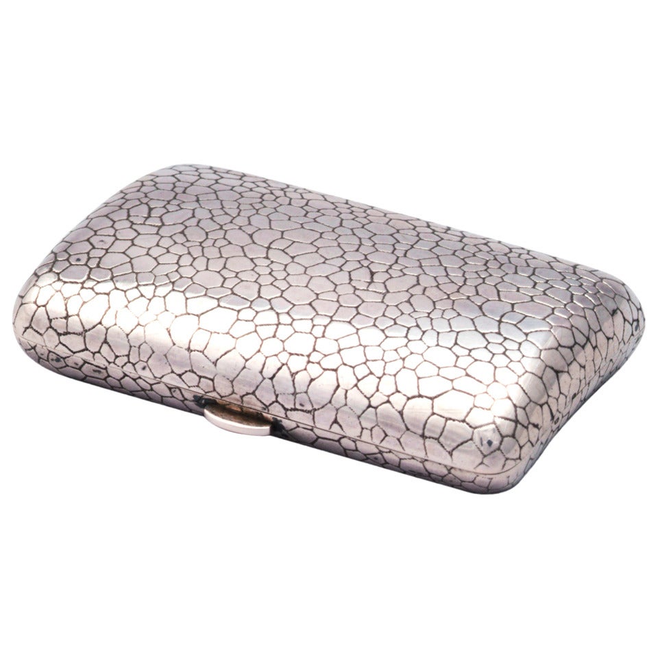 Silver Snakeskin Cigarette Case