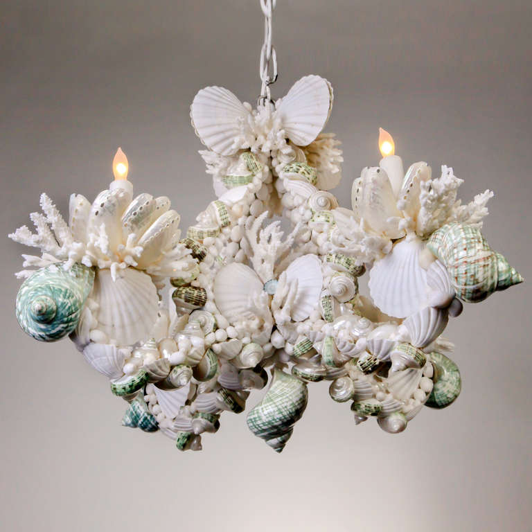 Shell Chandelier For Sale at 1stdibs