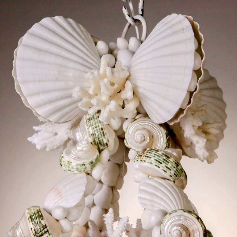 Shell Chandelier at 1stdibs