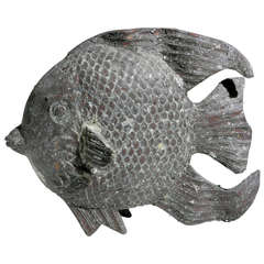 Small Angel Fish 9