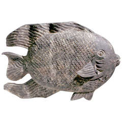 Medium Angel Fish 10