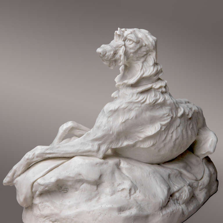 parian dog