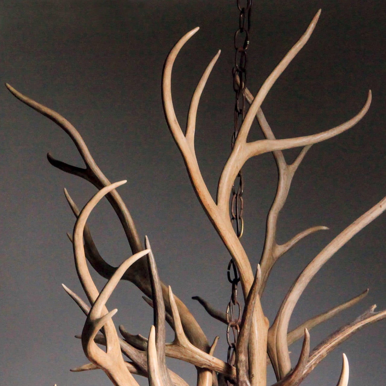 Large American deer antler chandelier in light buff tones made with deer and caribou antler that are naturally shed. Electrified six-light chandelier. Limited edition chandelier made by American craftsmen.