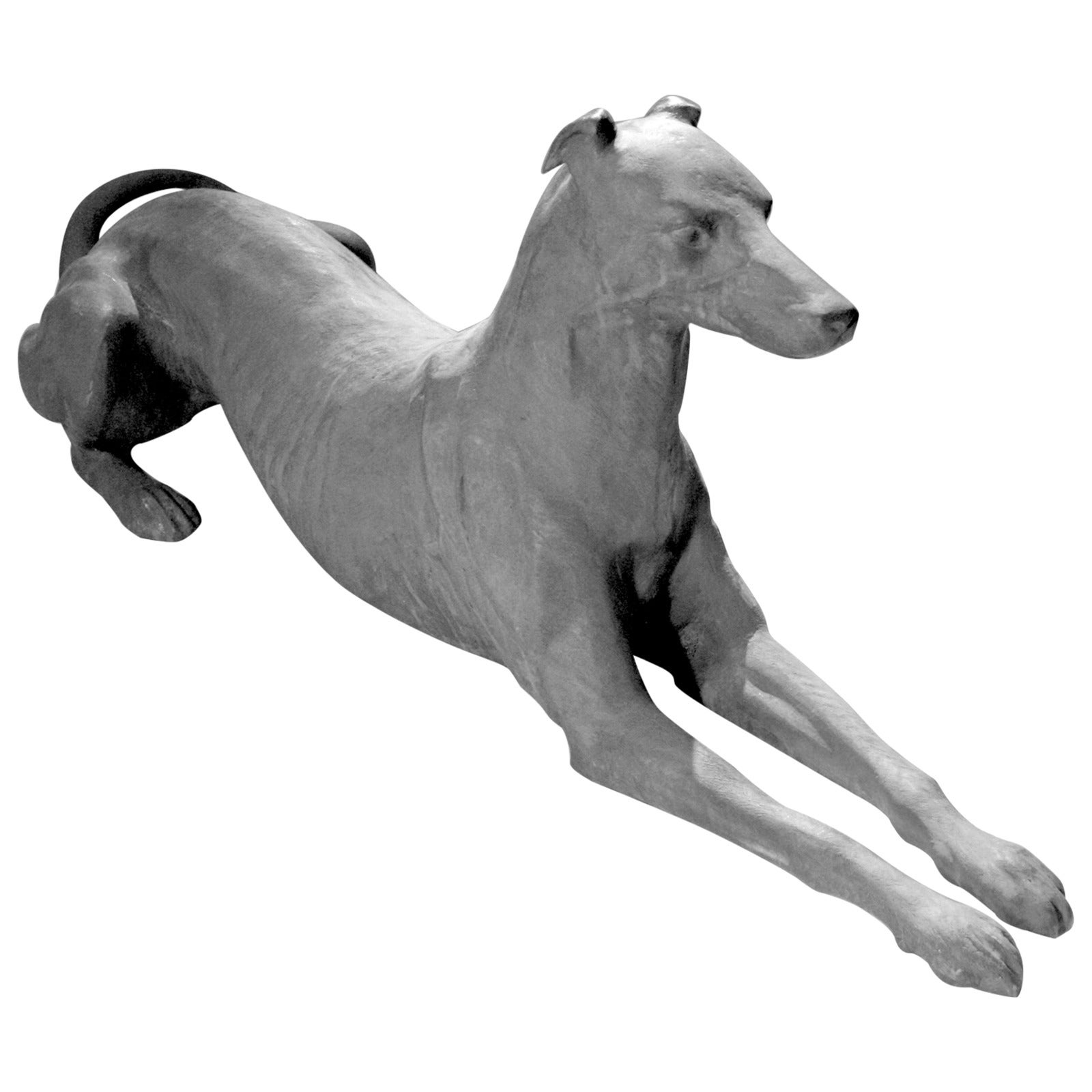 Lead Greyhound