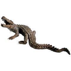 Bronze Cast Crocodile