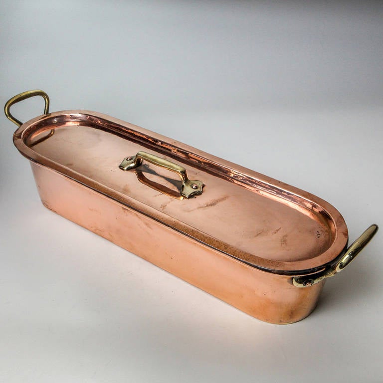 antique copper fish poacher