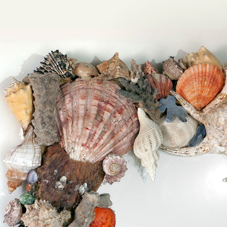 Rectangular shell mirror heavily encrusted with richly-patinated sea shells including conch, large scallops, clams, mottled snails, starfish and coral.