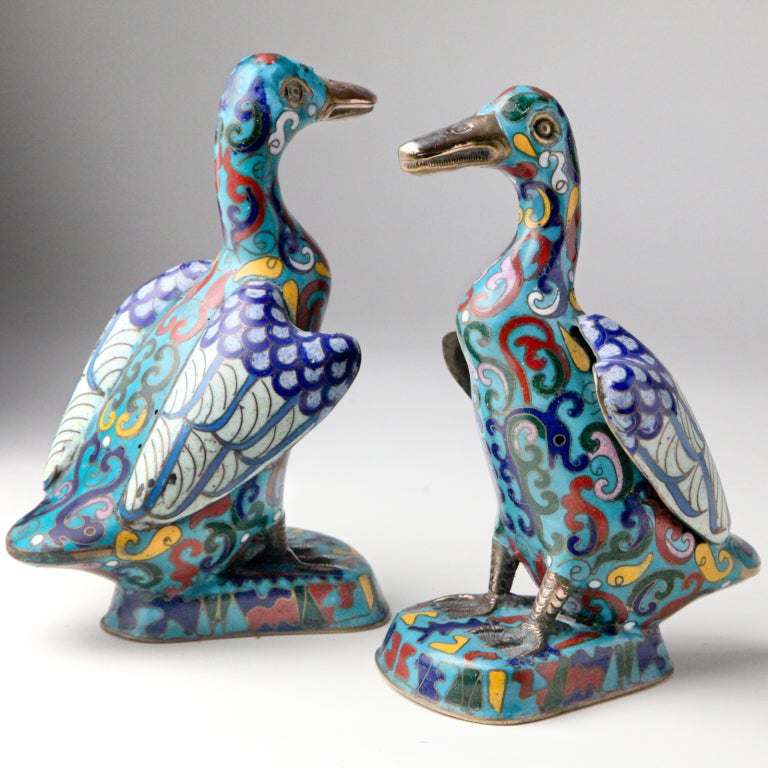 Charming pair of Chinese cloisonne ducks.  Each with intricate enameled inlay in multicolored tones on a turquoise ground.  Wings beautifully detailed in pattern and color.  Copper beaks and feet.