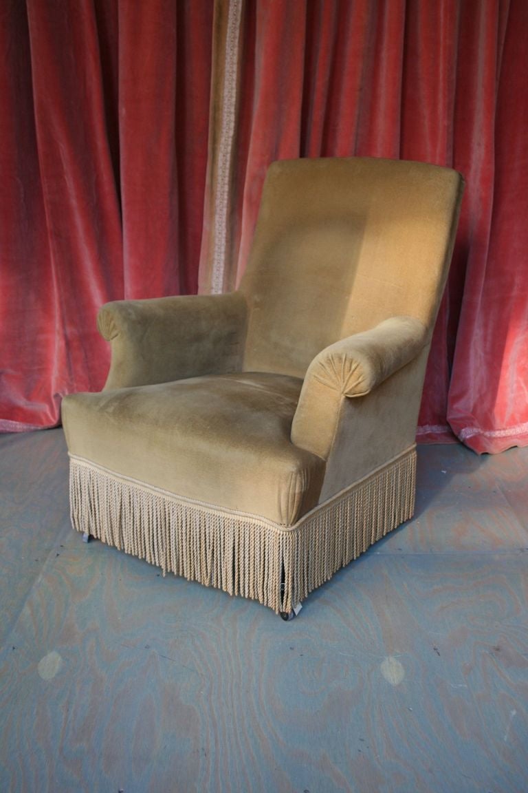 Pair of French 19th century armchairs in gold velvet with fringe and one is slightly larger than the other.