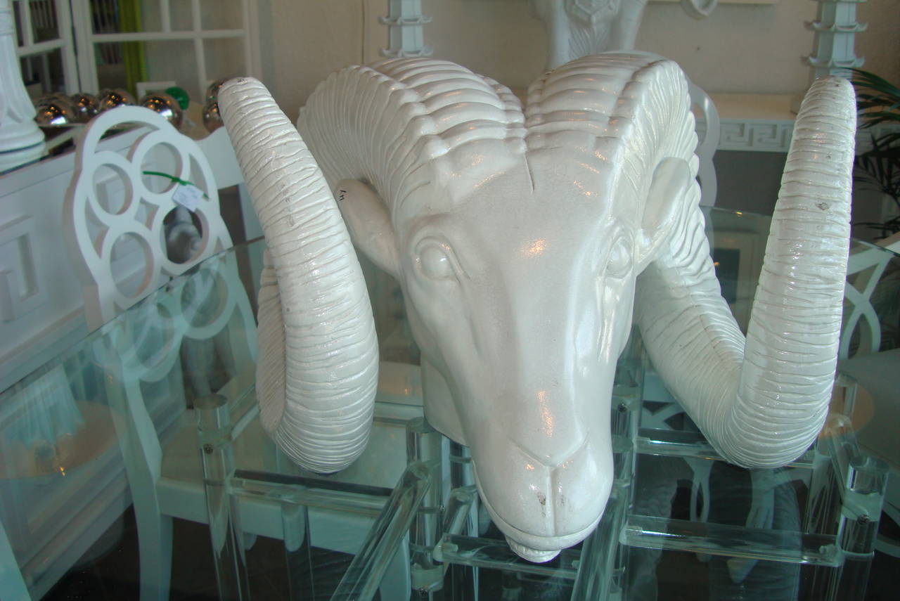 Lacquered Vintage White Ram's Head For Sale