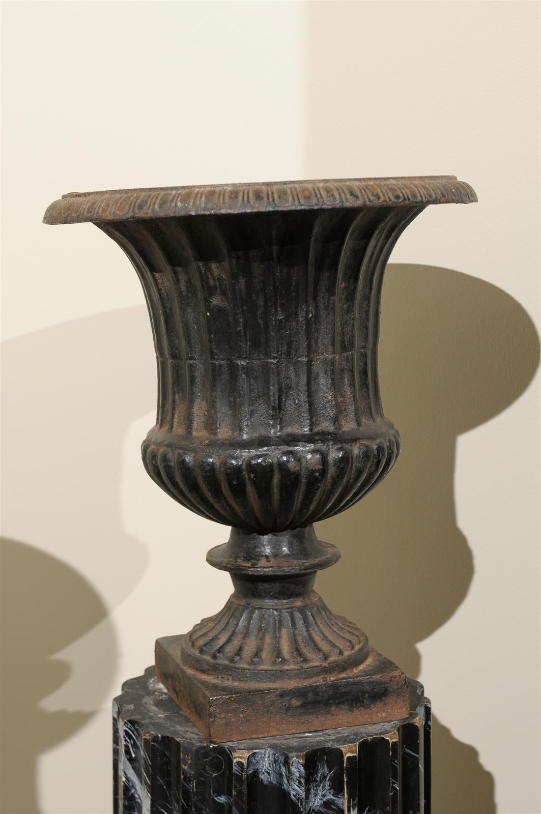 Cast Pair of 19th Century Iron Urns from France