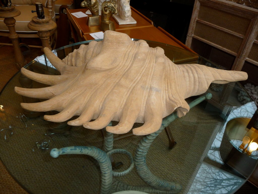 Very Large Carved Wooden Shell For Sale at 1stDibs