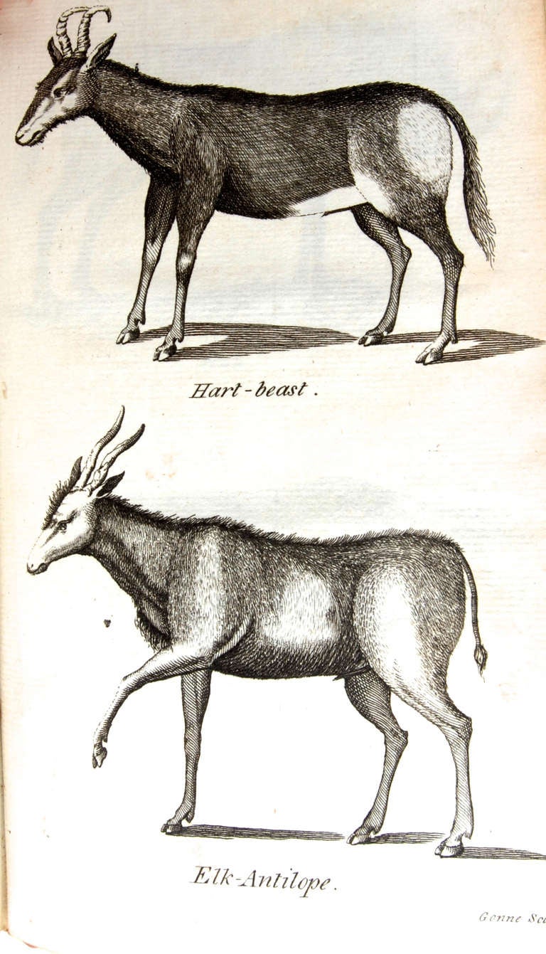 Voyage au Cap de l'Espérance, première édition, vers 1785 en vente 2
