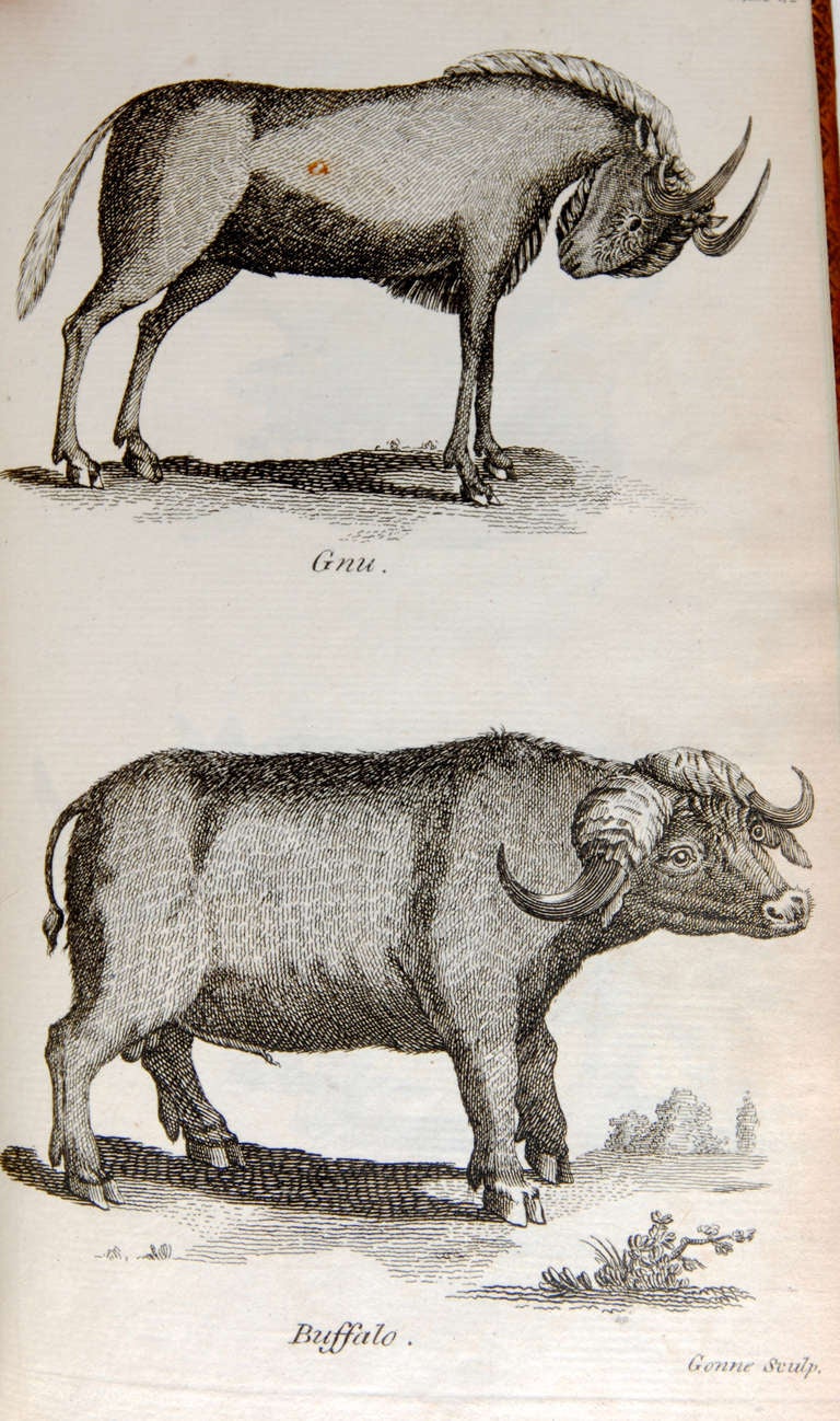 Voyage au Cap de l'Espérance, première édition, vers 1785 en vente 3