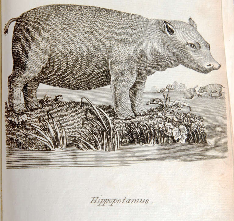 Voyage au Cap de l'Espérance, première édition, vers 1785 en vente 4