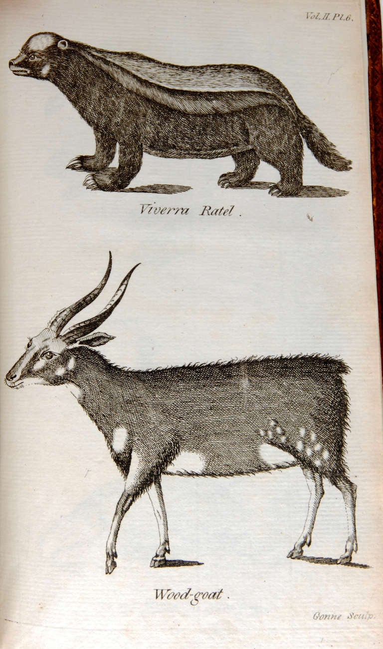Voyage au Cap de l'Espérance, première édition, vers 1785 en vente 5